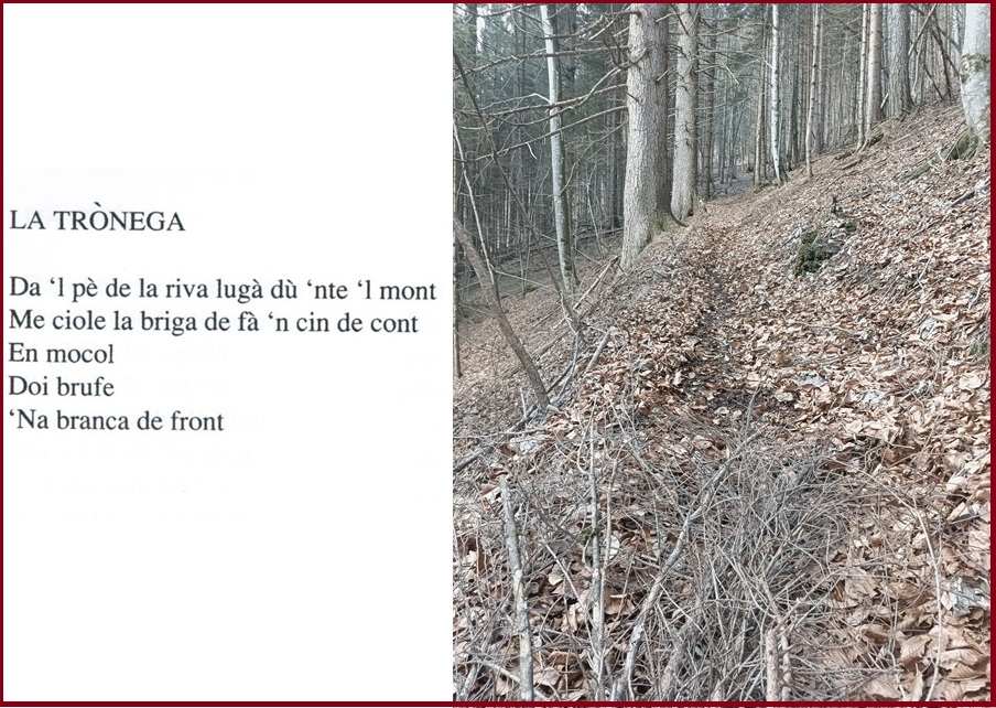 La_tronega