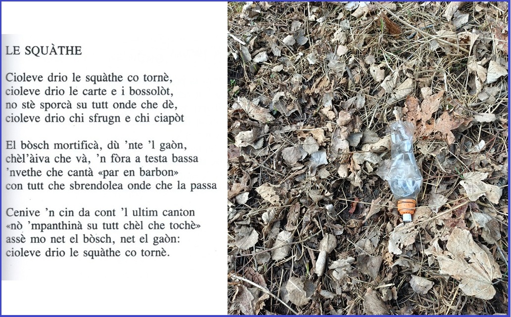Le_squathe